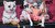 *Pre-order *Adults only LustHub Studio Gintoki Sakata Resin Statue #1