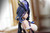 *Pre-order * Uking Studio Genshin Impact Clorinde Resin Statue #2