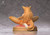 *Pre-order * FB Studio Furry cat Resin Statue #1