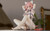 *Pre-order * OMG Studio Wuthering Waves Changli Resin Statue #1