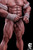 *Pre-order * Hotboys Studio Street Fighter RYU Resin Statue #5