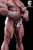 *Pre-order * Hotboys Studio Street Fighter RYU Resin Statue #7